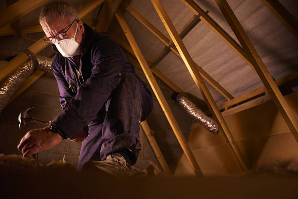 Best Eco-Friendly Insulation in Blackhawk, CA