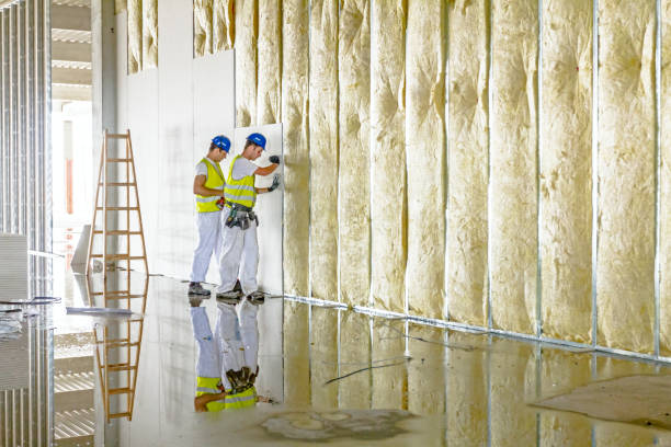 Best DIY Insulation Kits and Guidance in Blackhawk, CA